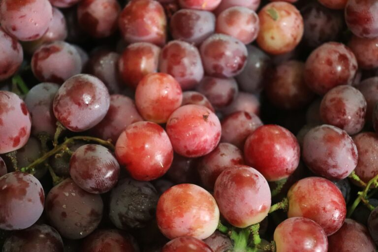 South African table grape