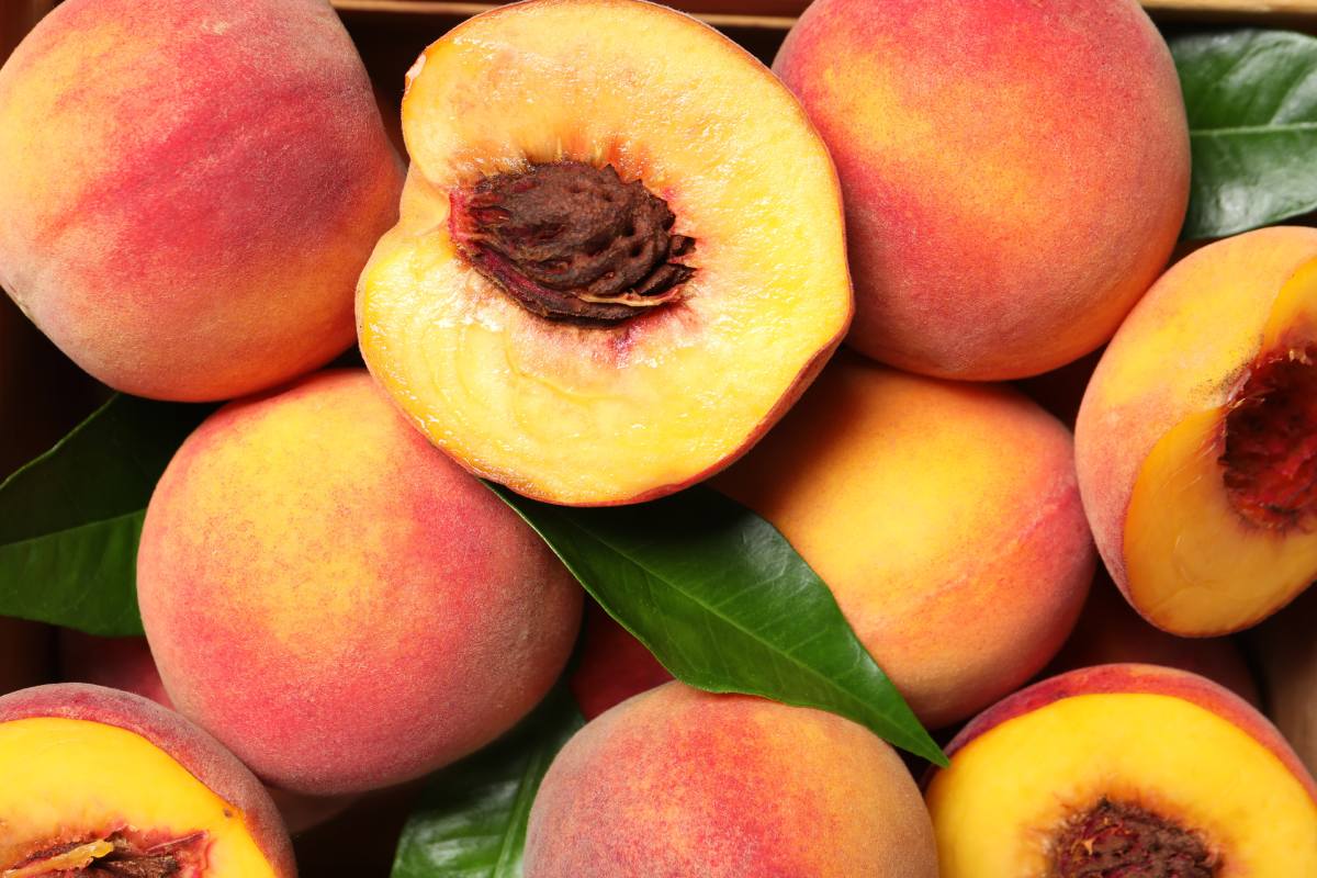 Australian nectarine and peach forecast down nine percent due to weather disruptions