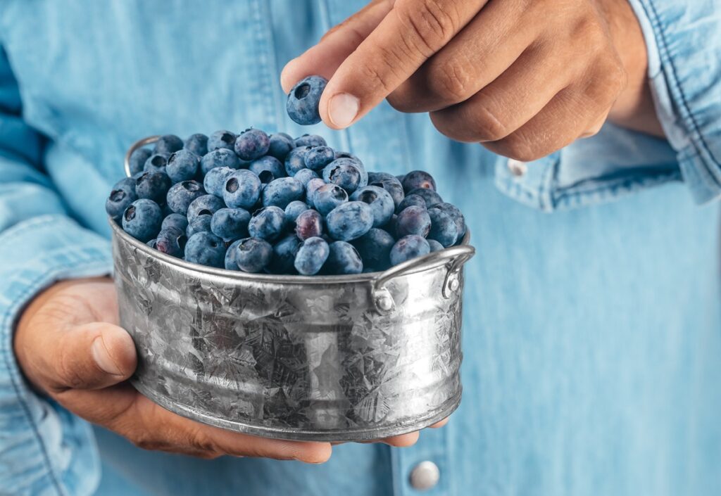 Blueberry compound may help curb fat buildup in muscle cells