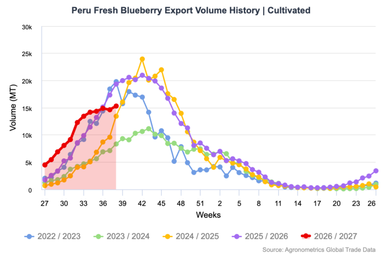 Peruvian blueberry