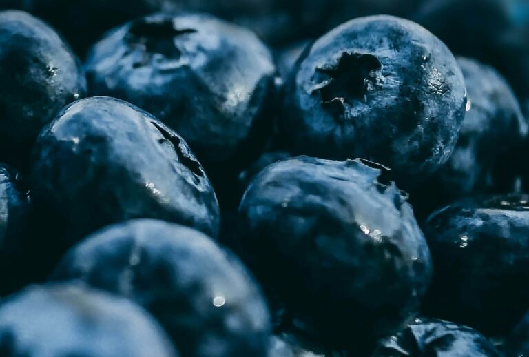 blueberry market