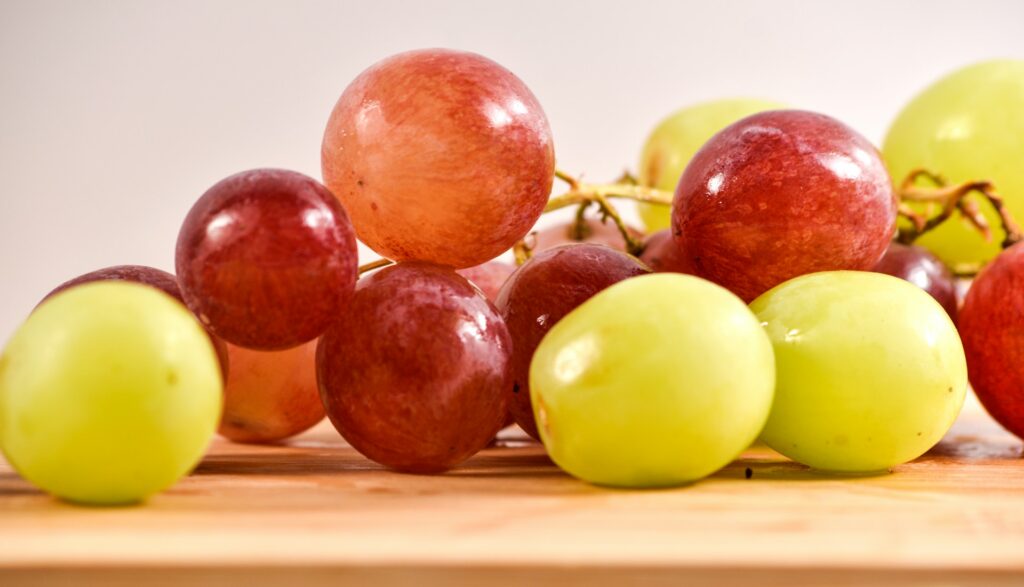 South African table grape season poised for early start
