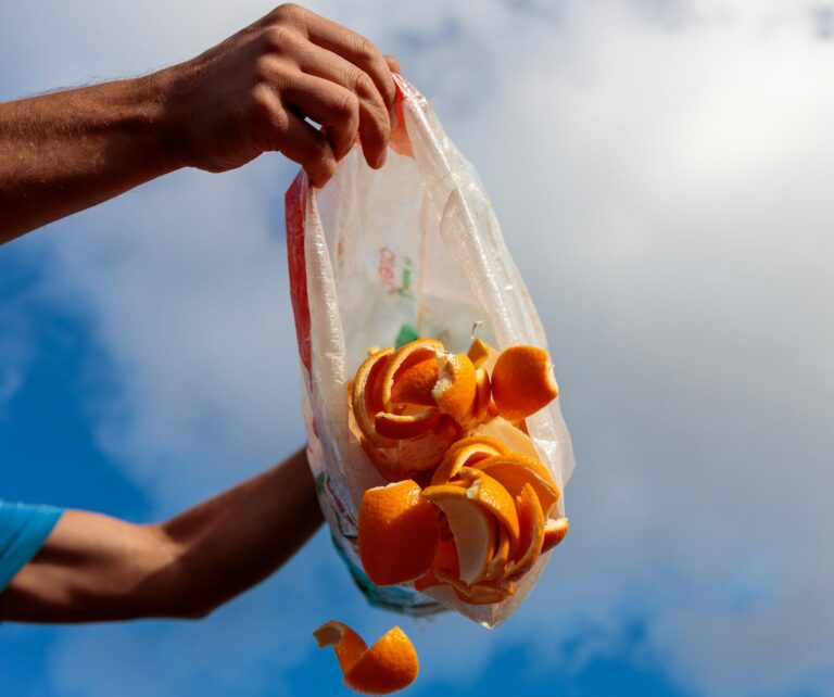 food upcycling