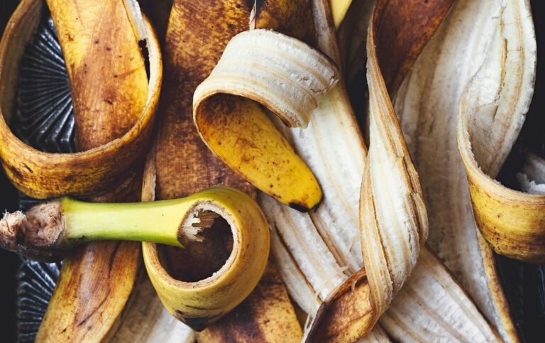 food upcycling