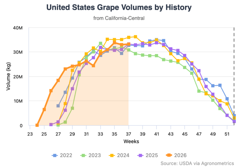 California grape season