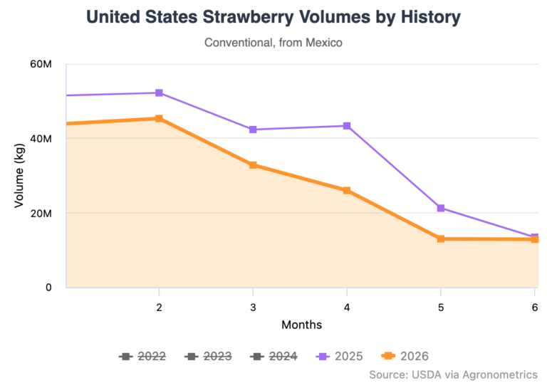 Mexico's berry volumes