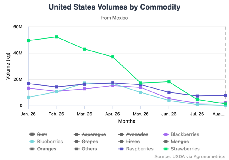 Mexico's berry exports