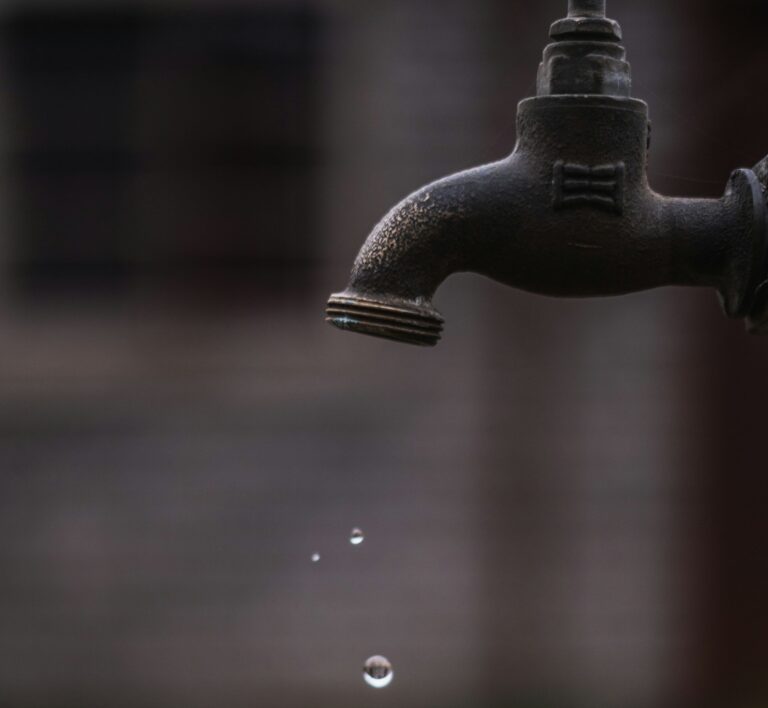 Water productivity