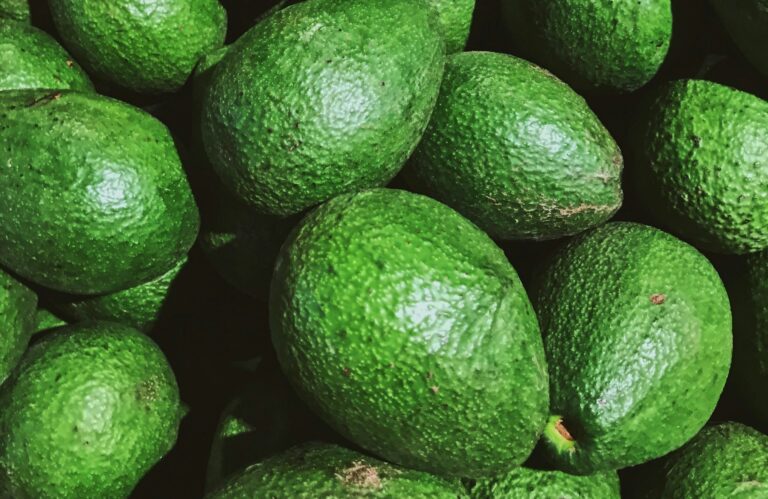 Avocado in foodservice