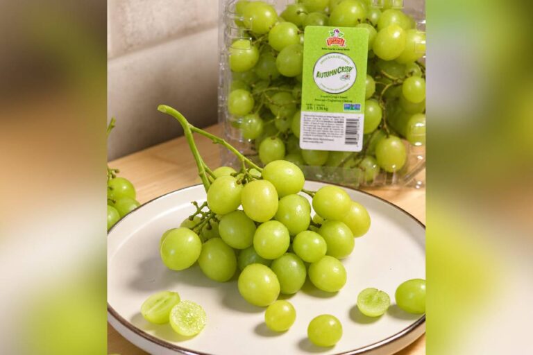 Autumncrisp grapes by divine flavor