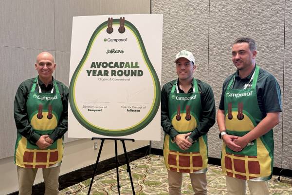 Camposol partners with Jaliscavo and moves toward a year-round avocado supply program