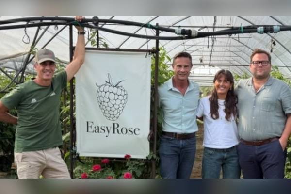Easyrose cultivar launch