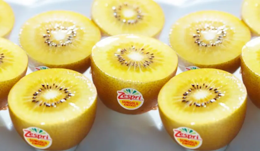 Zespri kiwifruit