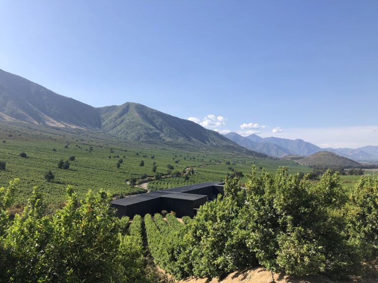 Aconcagua Valley