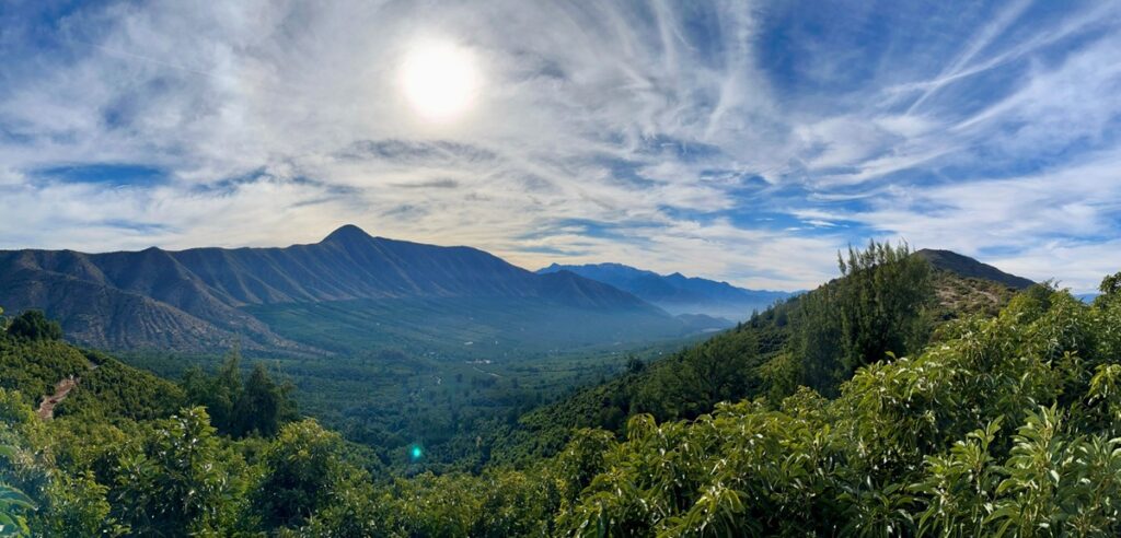 Aconcagua Valley fruit sector joins forces to protect water resilience