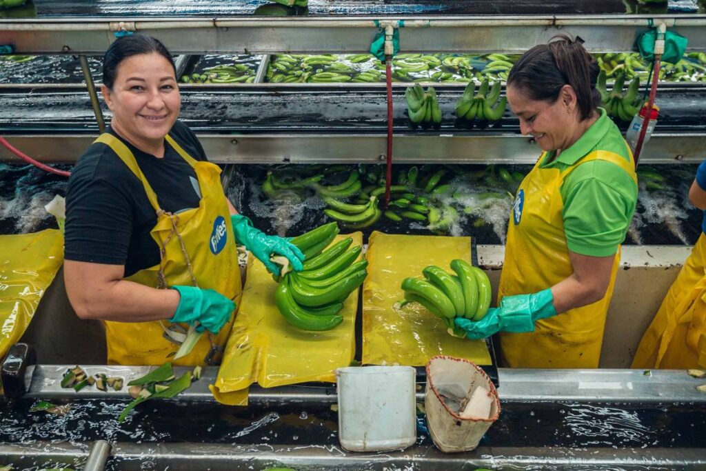 Fyffes sounds the alarm on the true cost of bananas