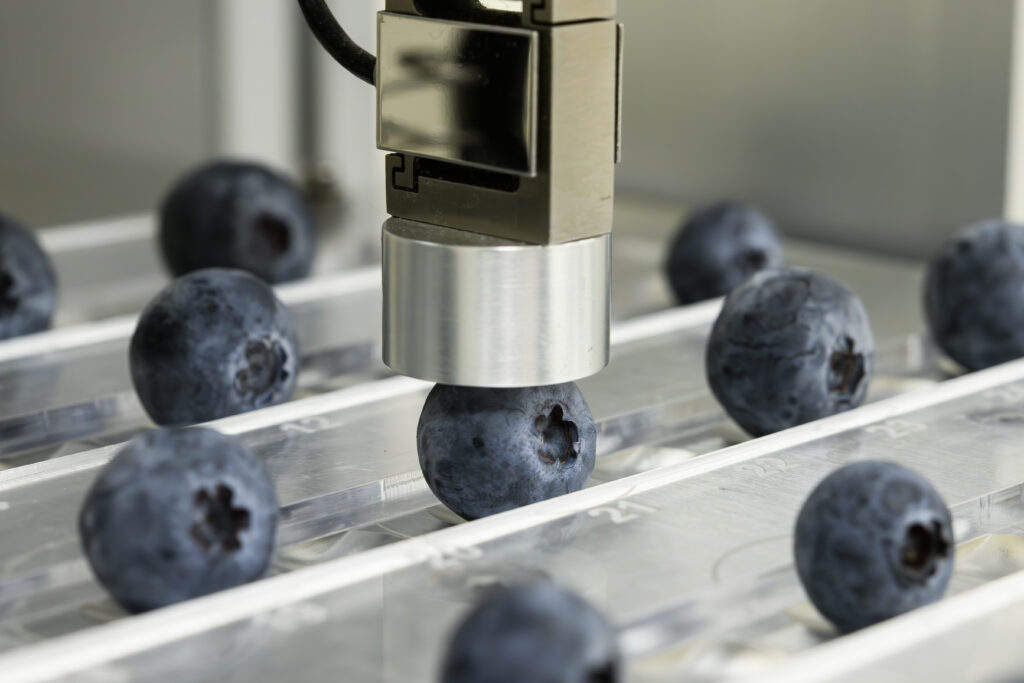 Naturipe Farms: Building a better berry from the ground up