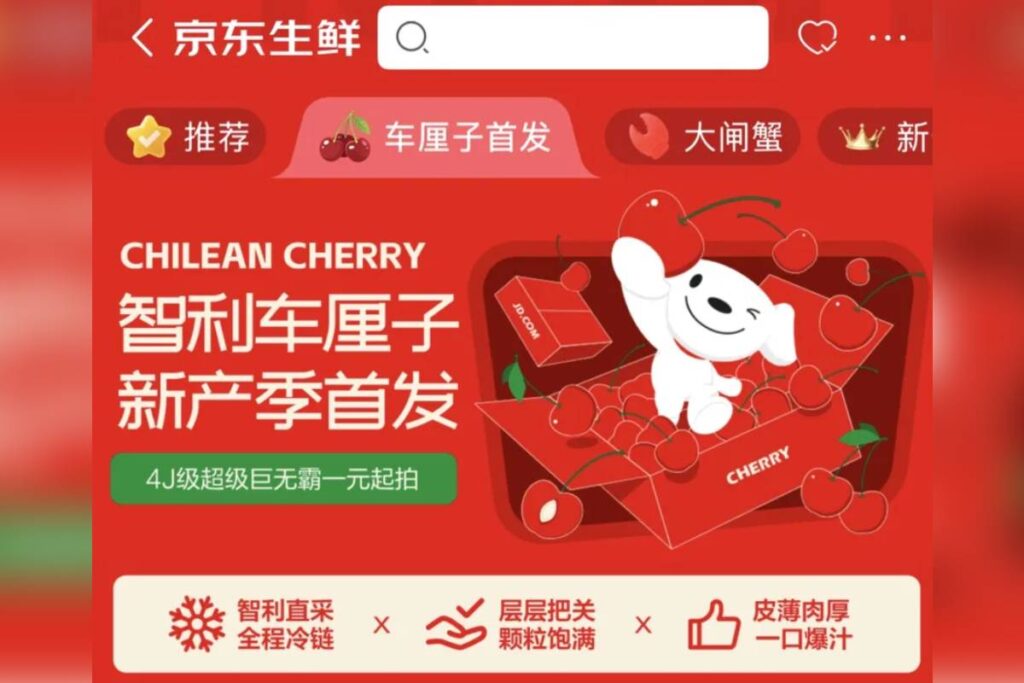 Chinese fresh e-retailer JD Fresh kicks off pre-sales of Chilean AG2 cherries 