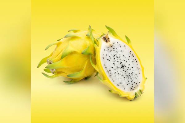 Tierra suelta dragon fruit