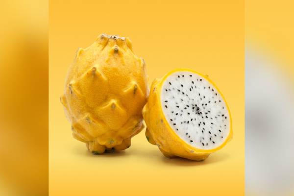 Tierra Suelta dragon fruit