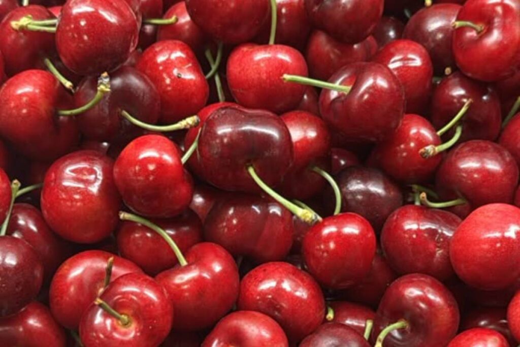 Tru-Cape reports 50 percent cherry crop decline due to earliest-ever start of the season 