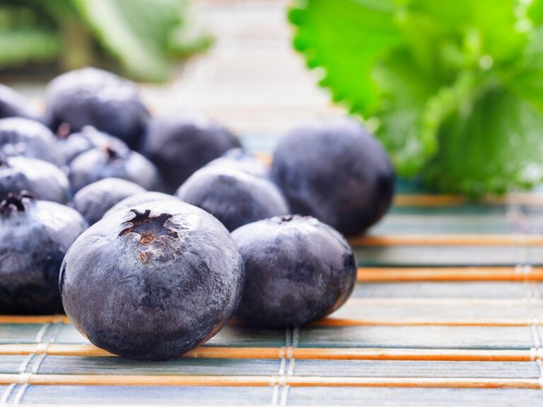 Chilean blueberry