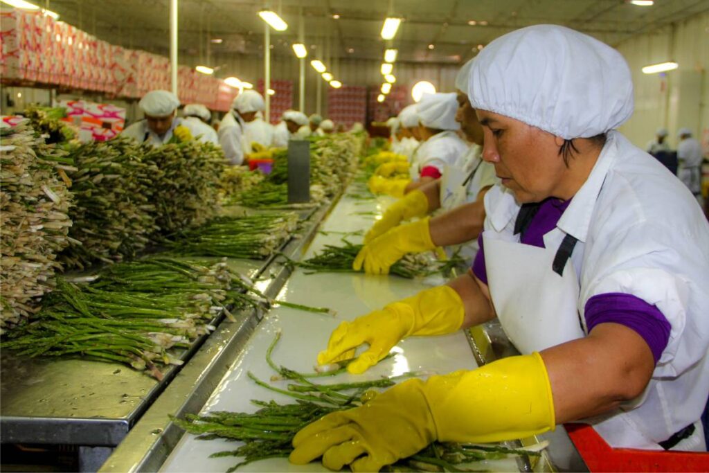 Peru seeks to improve market access of ag products to the United States
