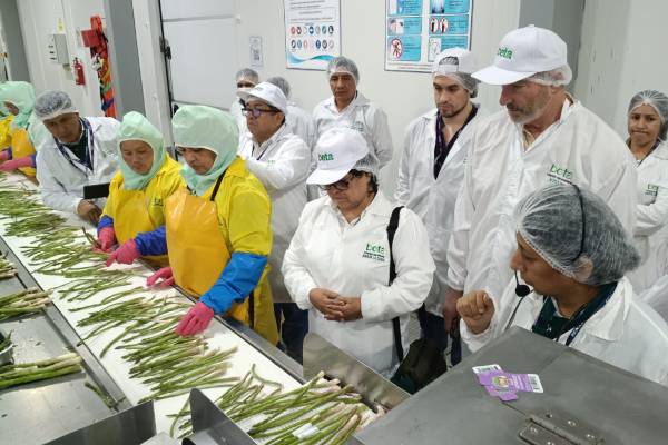 Peruvian export