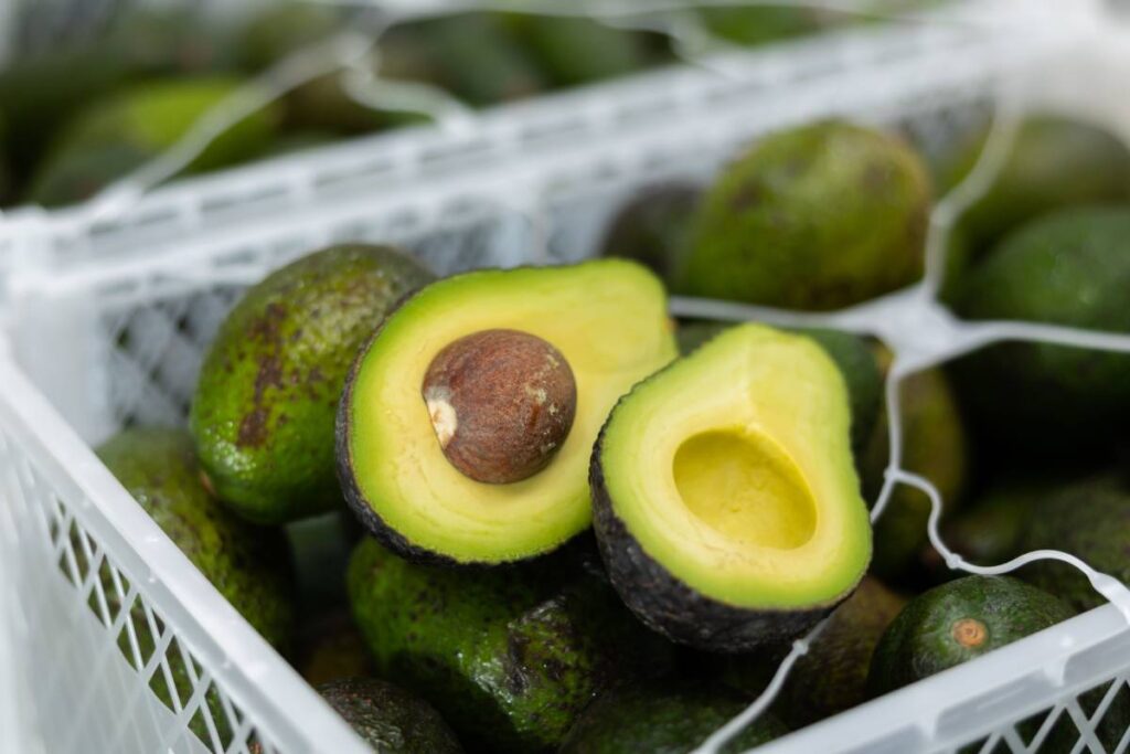 Avocado harvest stoppage in Michoacán threatens US supplies