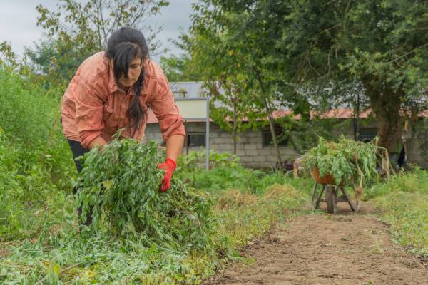 composting