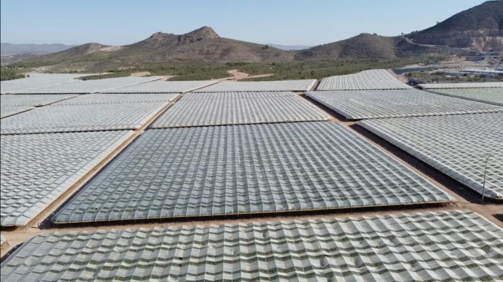Solgrapes Multiseason: Solplast highlights field research, crop protection and global manufacturing strength at ITGS 2026