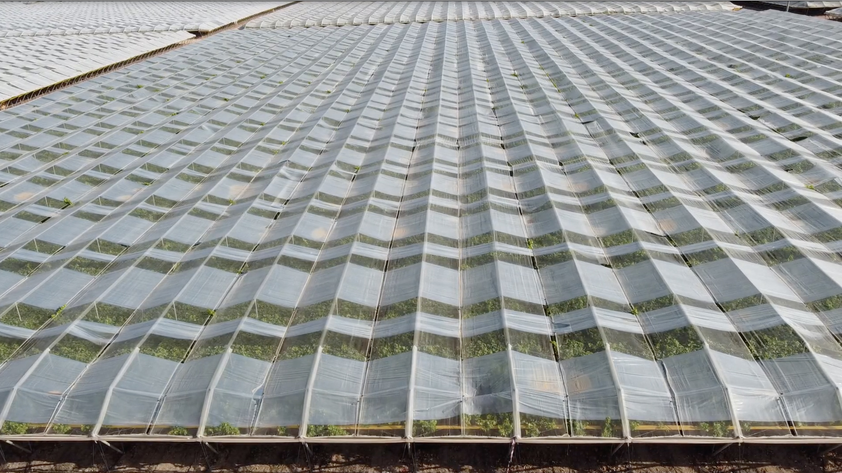 solplast