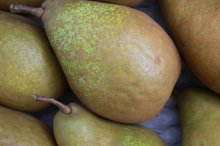 pears