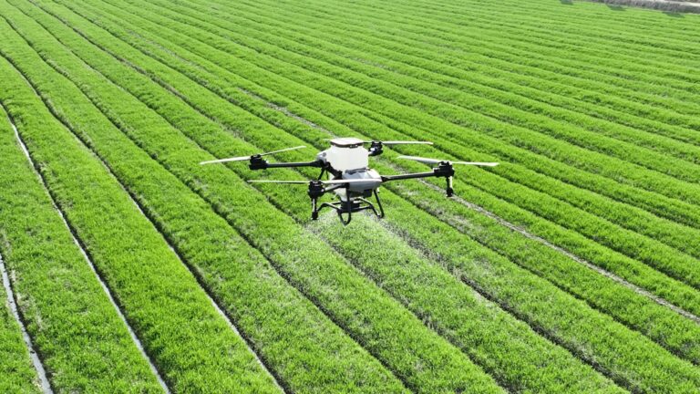 drones as a service