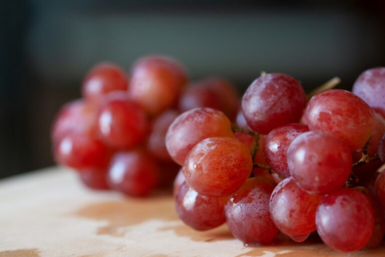South Africa's Table Grape