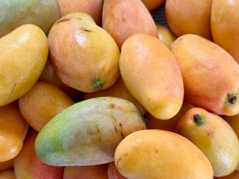 Spanish mango consumption
