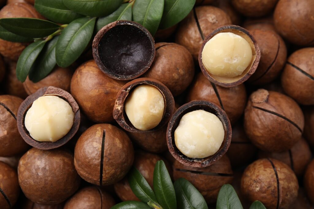 South African macadamia industry pivots to new cultivars amid profitability push