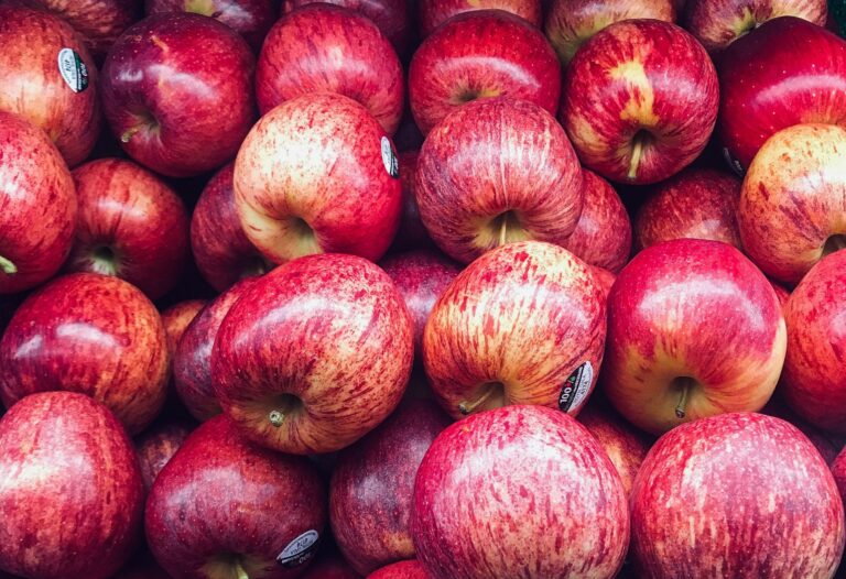 Brazilian apple crop