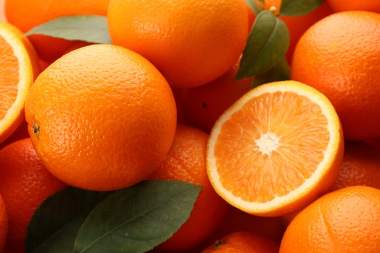 carbohydrate management in citrus