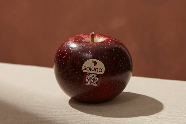 Soluna apple by oppy