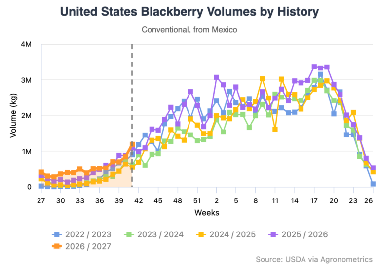 Mexican raspberry and blackberry volumes
