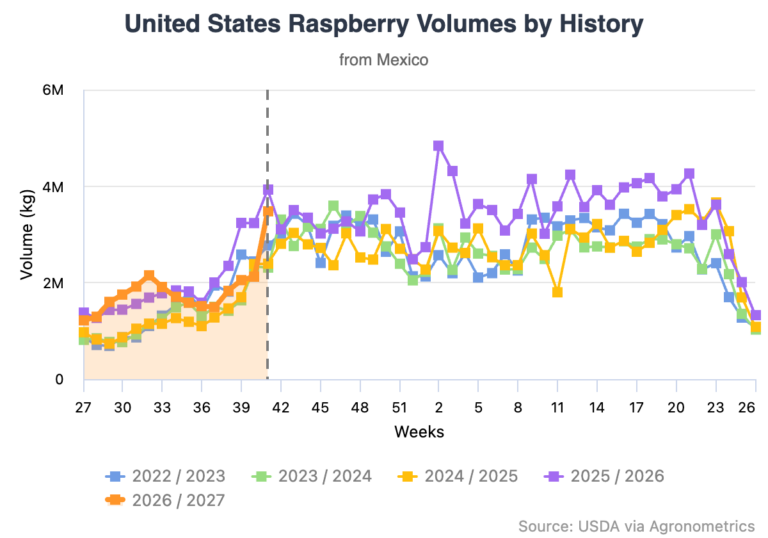 Mexican raspberry and blackberry volumes