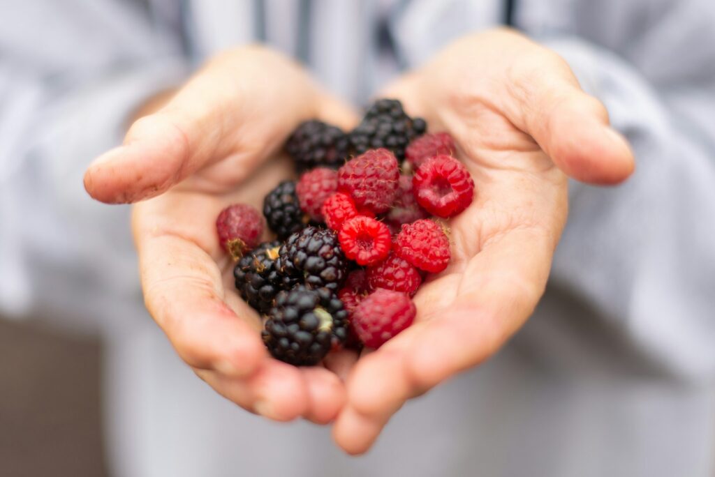 Agronometrics in Charts: Mexican raspberry and blackberry shipments step up as El Niño weighs on Peruvian supply