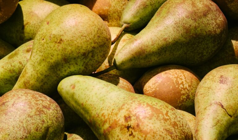 pears